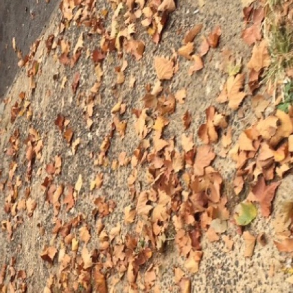 Meet your Posher, Akash - Picture 1 of 1